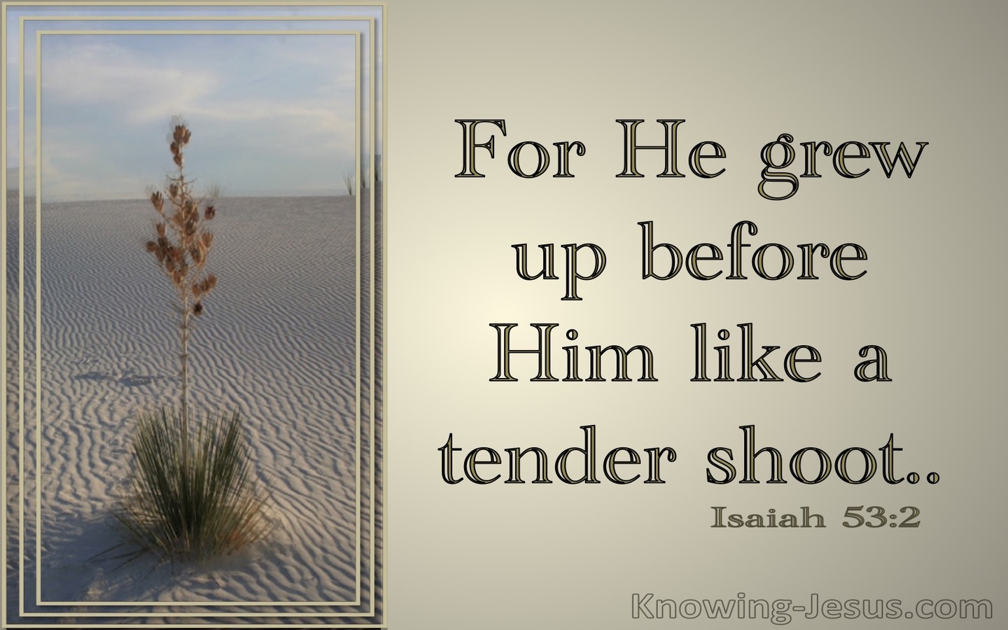 Isaiah 53:2 He Grew Up Like A Tender Shoot (beige)